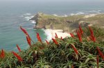 Cape of Good Hope, South Africa